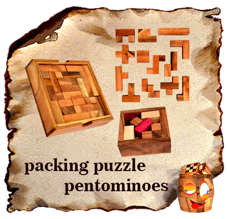 solution for packing systens and pentominoes puzzle